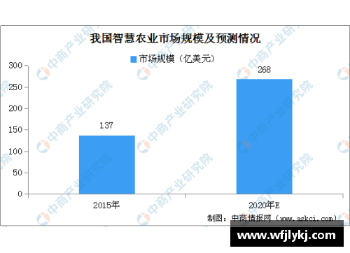 NBA赛事转播策略分析与未来发展展望